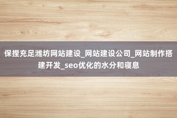 保捏充足潍坊网站建设_网站建设公司_网站制作搭建开发_seo优化的水分和寝息