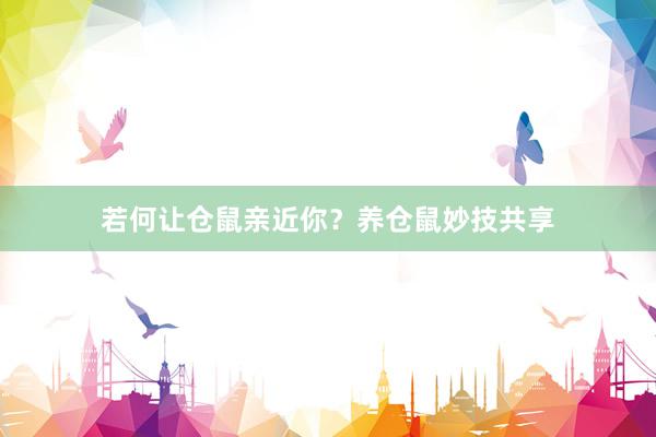 若何让仓鼠亲近你？养仓鼠妙技共享